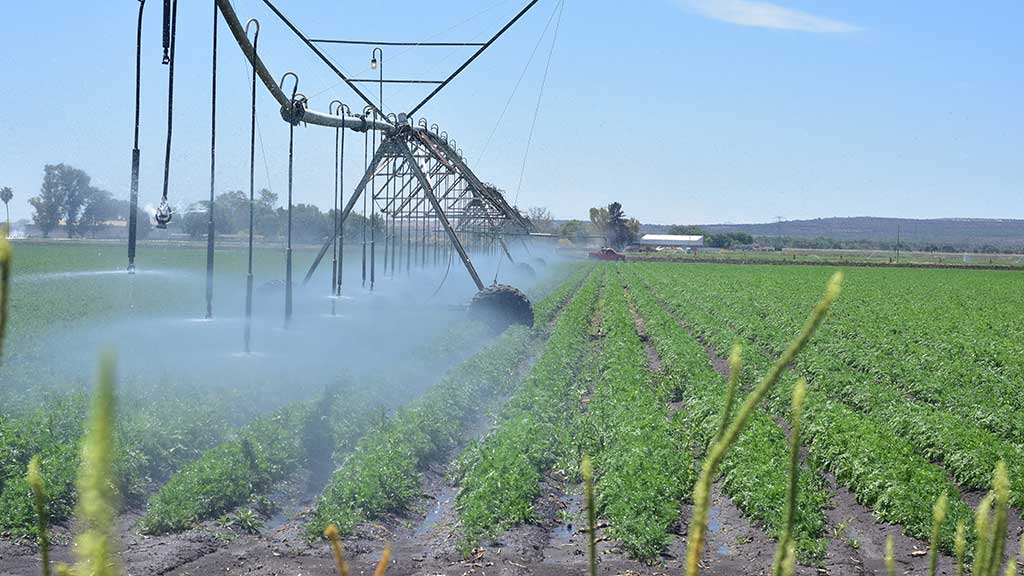 Campo respira: presas de León se llenan entre el 50 y el 100%