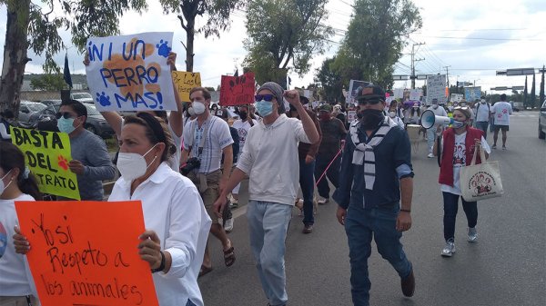 Al grito de “Hoy todos somos Alpha”, marchan en San Miguel de Allende para exigir justicia