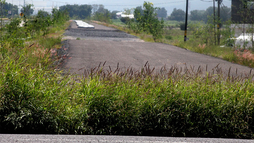 Permanecen sin avanzar obras del Distribuidor Celanese en Celaya