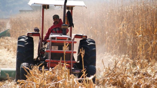 Preparan mapeo en León para mejorar siembra de productores