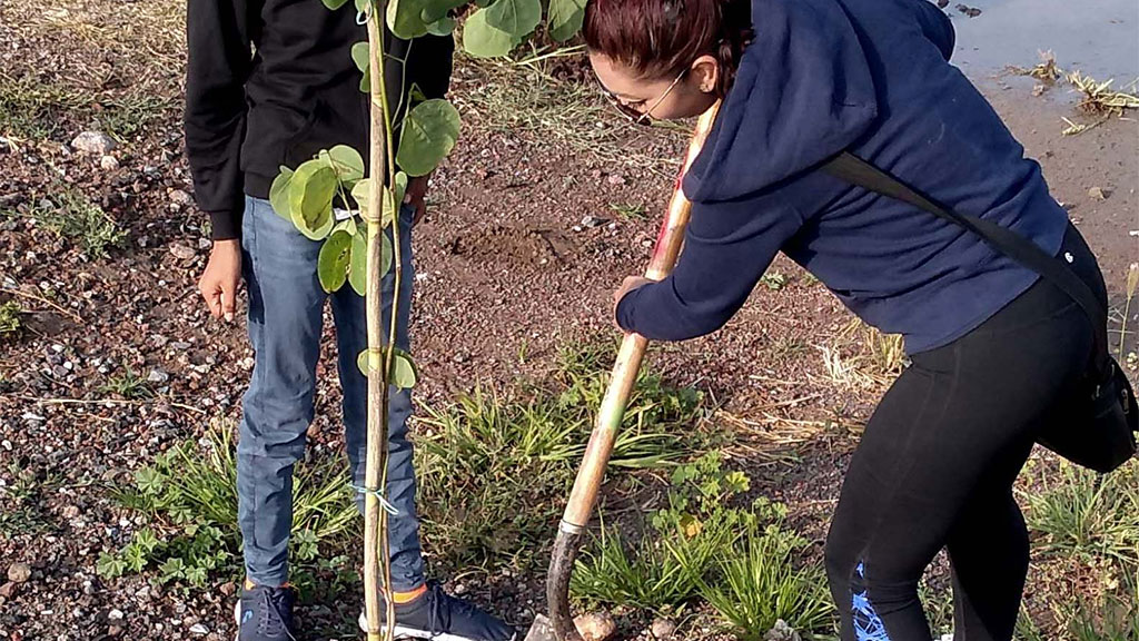 Redoblarán esfuerzos para la reforestación en Celaya