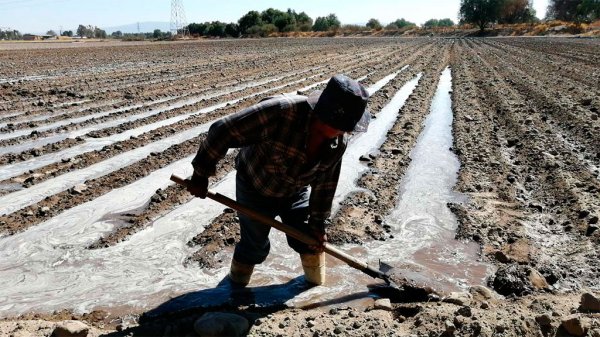 Recuperación de presa Ignacio Allende da esperanza a productores de Celaya