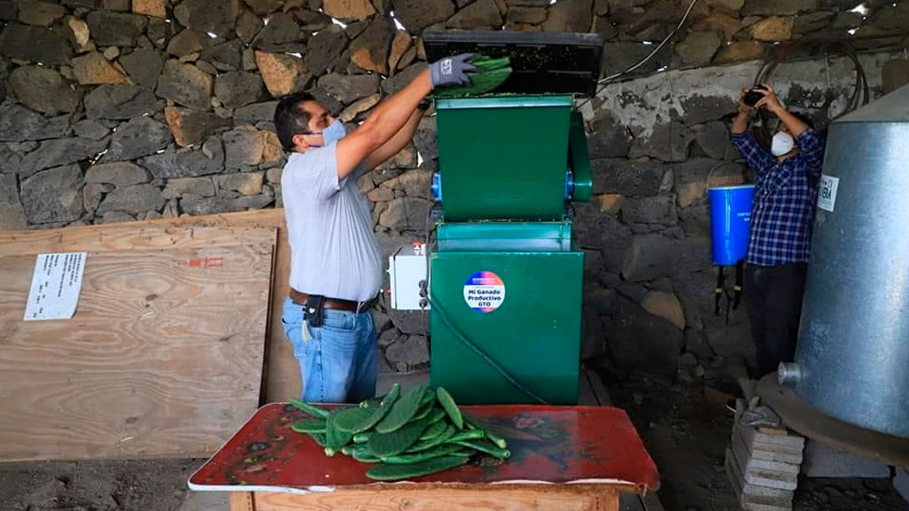 Instalan planta de industrialización del nopal en Coroneo