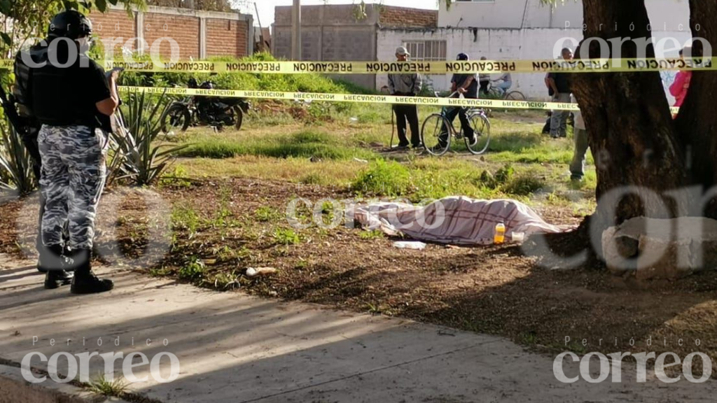 Localizan cadáver debajo de un árbol en Campo Verde, Romita