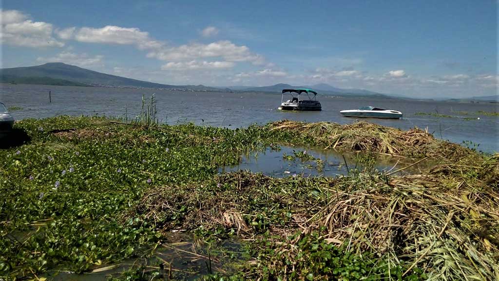 Preparan proyecto de saneamiento para la Laguna de Yuriria