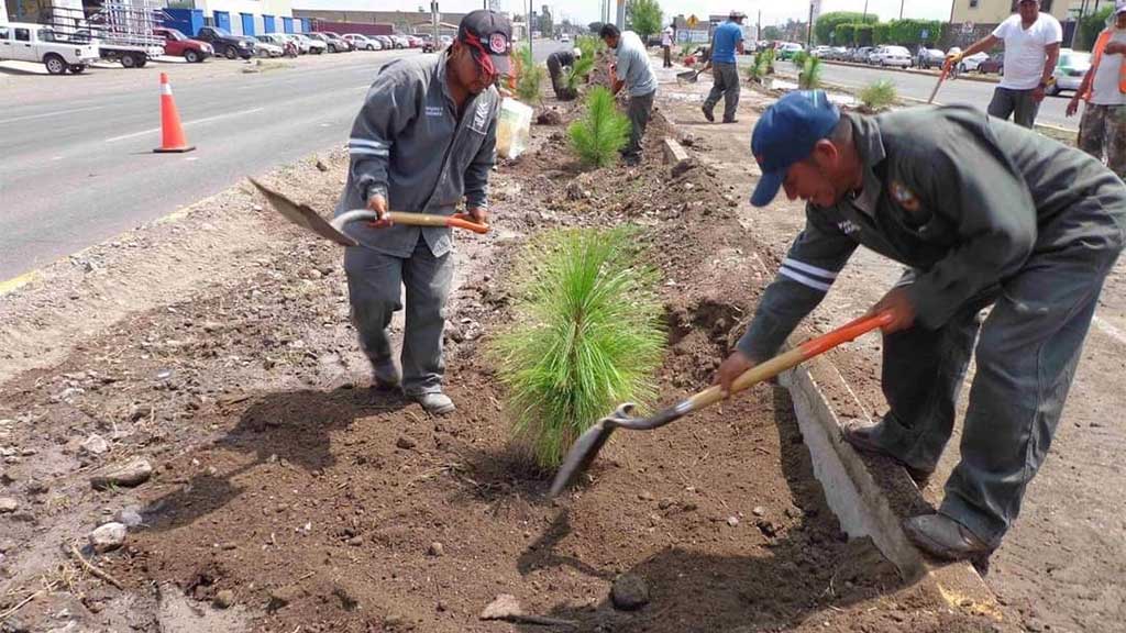 Renuevan reglamento para el manejo de residuos sólidos en Celaya