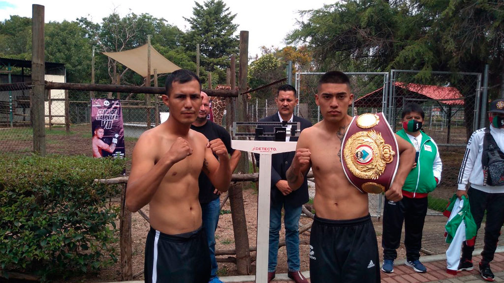 Listos pugilistas para  Club de la Pelea VIII en Irapuato