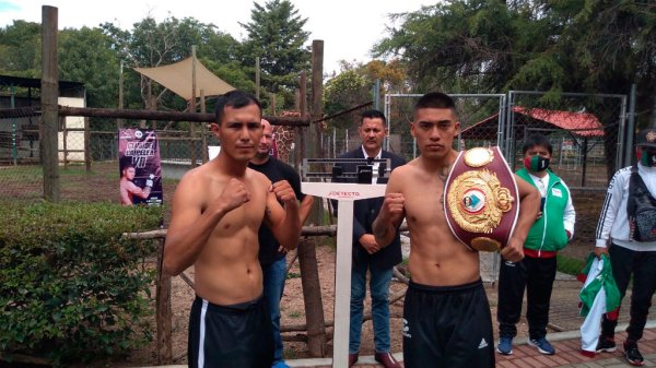 Listos pugilistas para  Club de la Pelea VIII en Irapuato