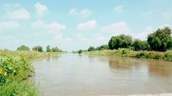 Rescatan cuerpo que flotaba en Canal de Coria en Cortazar