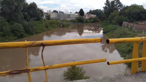 Se requieren al menos 10 mmdp para combatir el estrés hídrico en Guanajuato