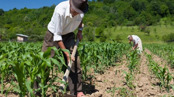 Aprueban leyes para desarrollo agropecuario y la agricultura familiar en Guanajuato