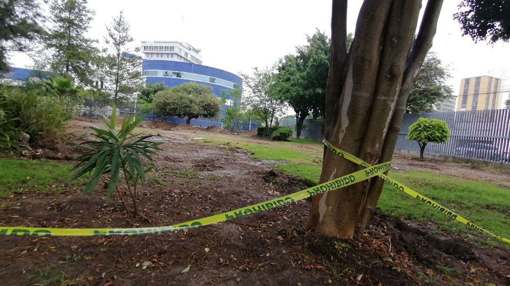 Ecologistas de Irapuato piden a Diego Sinhue reubicar obra de Torre Médica