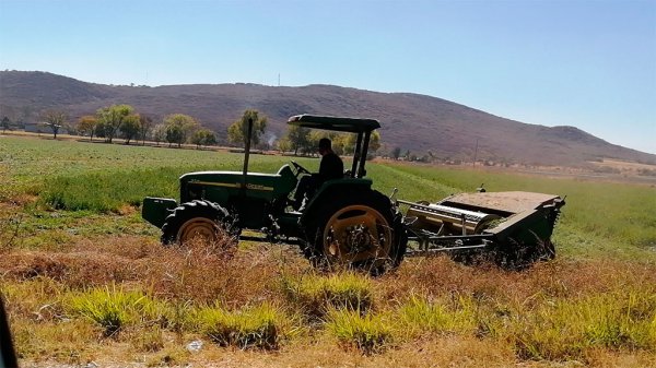 Productores agrícolas de Guanajuato luchan por recuperar diésel agropecuario