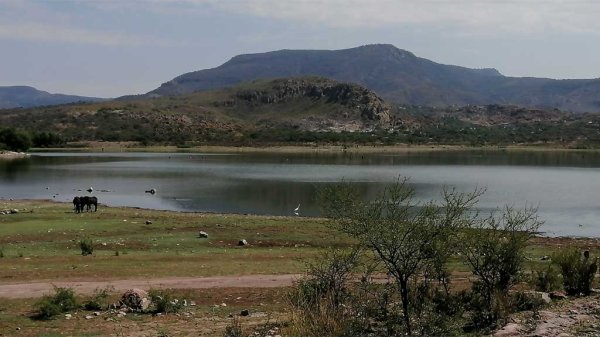 Alerta: presas y bordos en Victoria y Santa Catarina están al tope