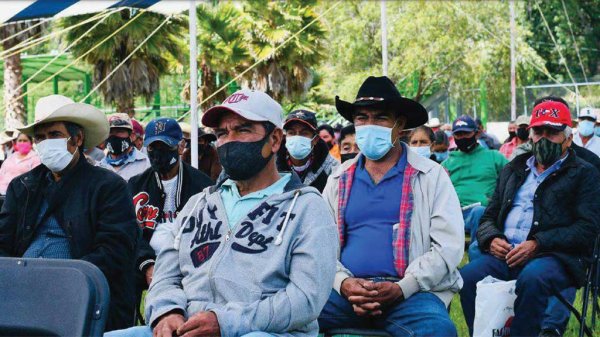 Apoyan a productores que perdieron cultivos en Jerécuaro