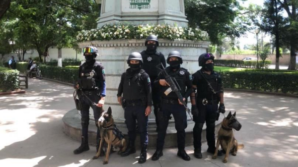 En lo que va del año la policía K-9 de Silao ha logrado la detención de 629 personas