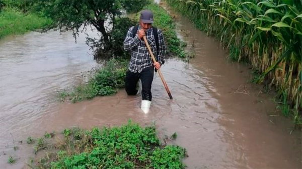 Tomará un mes más cuantificar daños en Abasolo; al término, habría apoyos