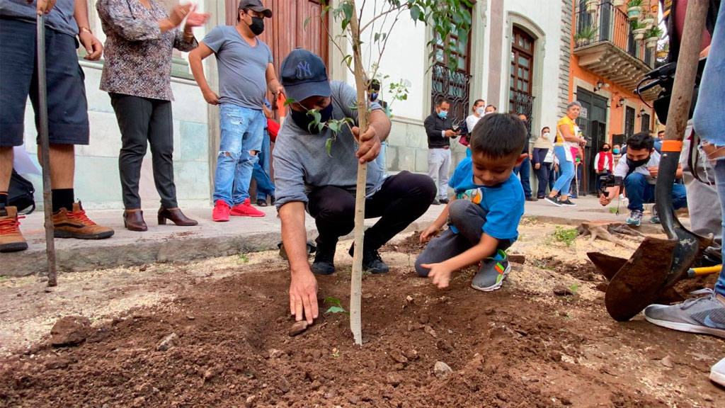 Tras denunciar ecocidio, vecinos de Paseo de la Presa plantan nuevos árboles