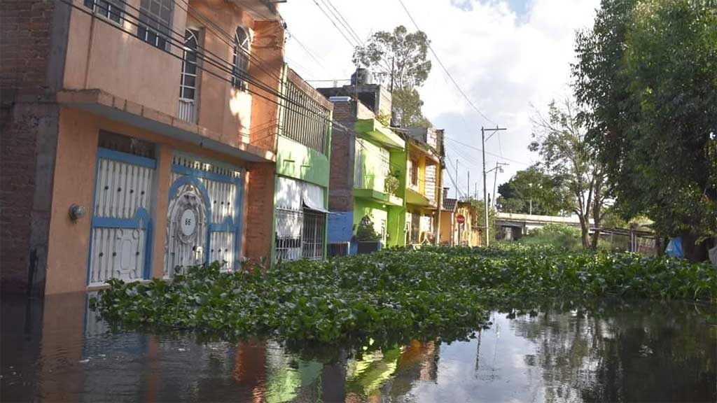 Permanecen inundados en Santa Ana Pacueco por desborde del río Lerma en Pénjamo