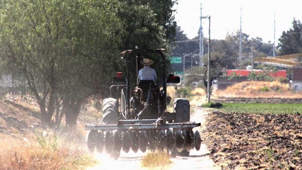 Anuncia Sader incremento en ‘Precios de Garantía’ para apoyar a agricultores en Guanajuato