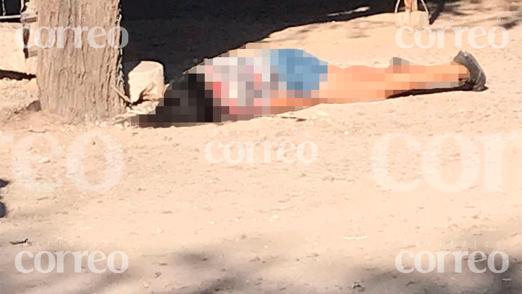 Ataque en la colonia Monte Blanco deja una mujer muerta en Celaya