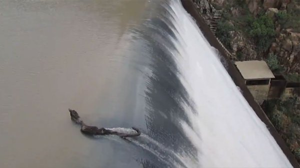 Se pierde 48 % del agua potable en Celaya, el gran reto de Roberto Castañeda