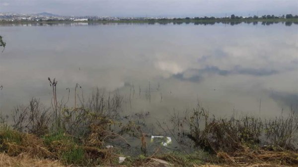 Empresas curtidoras ‘pintan de verde’ a la Presa Blanca en León