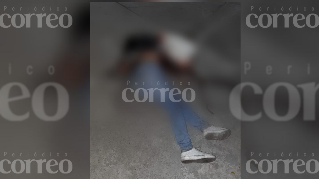 Asesinan a mujer en la colonia Jardines en Celaya