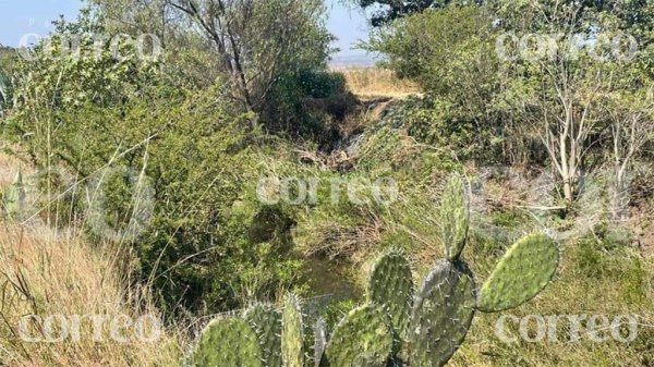 Descubren un cuerpo calcinado abandonado en un terreno de Tarimoro