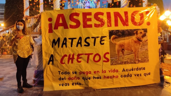 Silao exige justicia para Chetos, otra víctima de la crueldad contra los animales