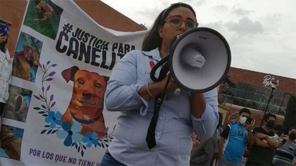 Animalistas exigen que el maltrato animal se castigue por ley en Salamanca