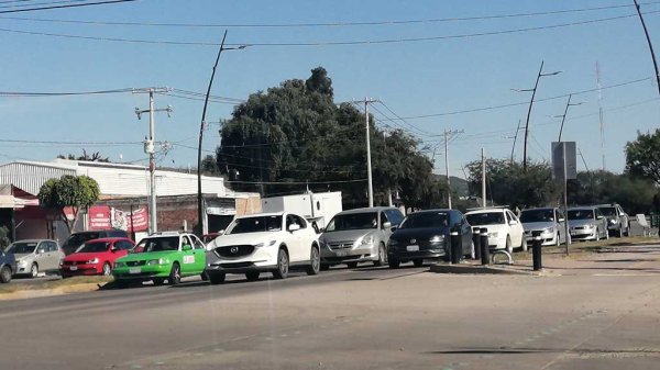 Prevén aumento de solicitudes para taxis ejecutivos en Guanajuato