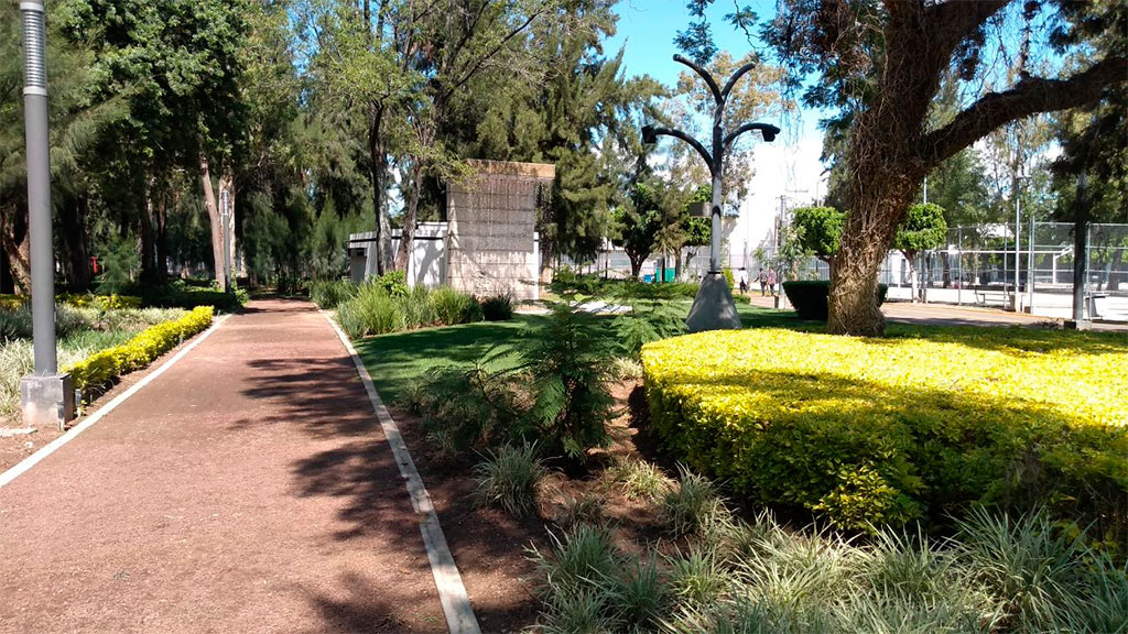 Plaga invade árboles de parques y bulevares de Irapuato