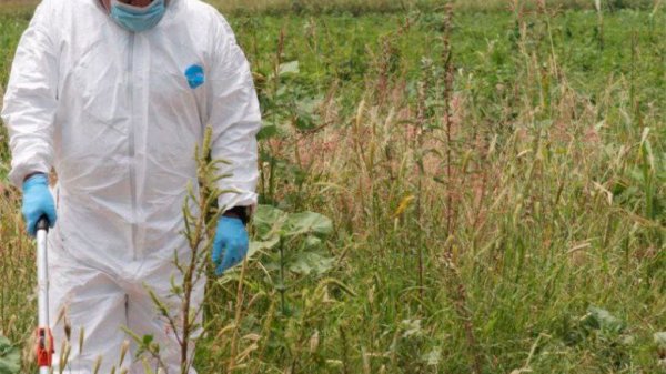 Hallan cuerpo semienterrado entre Cupareo y Puerta del Monte en Salvatierra