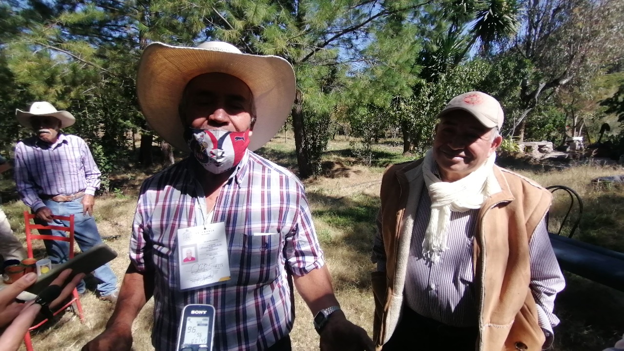 Hermanos trabajan 14 años para hacer crecer su propio bosque en Salamanca