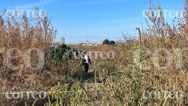 Irapuato: hallan el cadáver de una mujer en descomposición en Lago Real