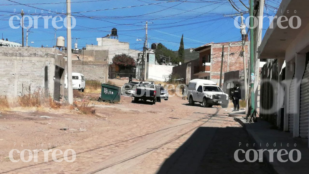 Guanajuato: ahora hallan cabeza humana devorada por perros en Marfil