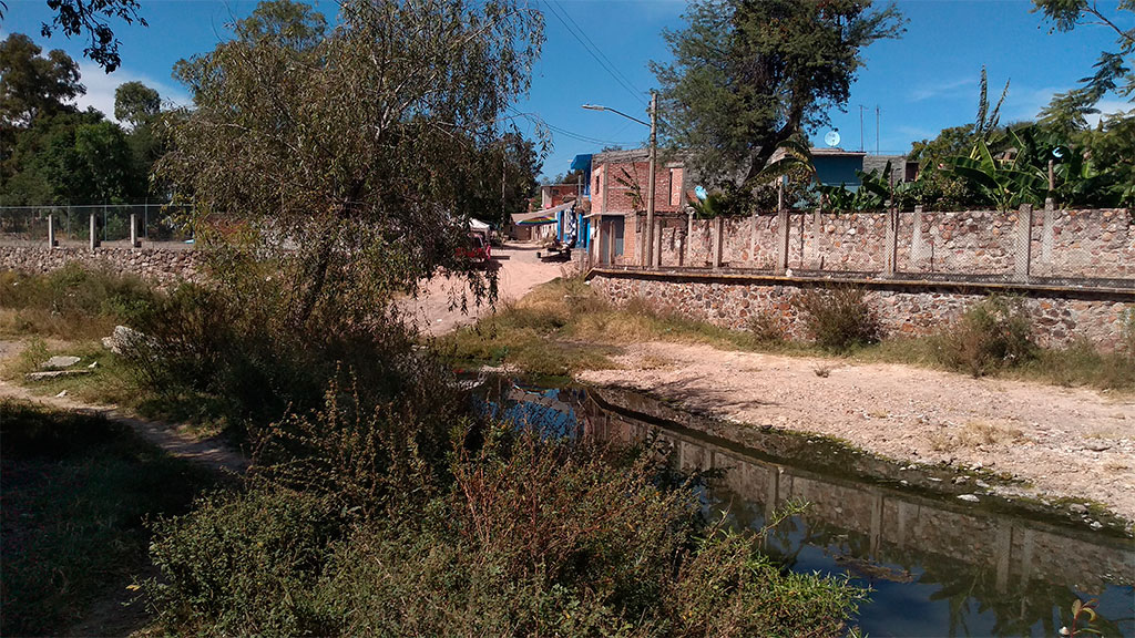 Caminito de la escuela… cruza arroyo en Irapuato; 150 niños se arriesgan por ir a clases