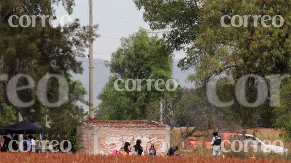 PAN pide posponer encuentro con colectivos de búsqueda hasta el 2022