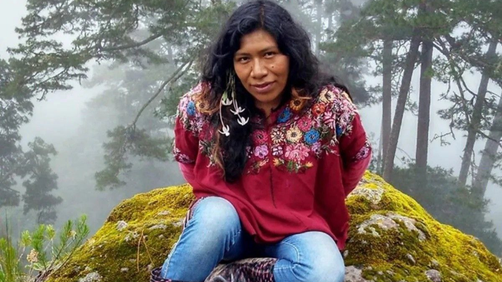 Desaparece Irma Galindo, defensora de los bosques en Oaxaca