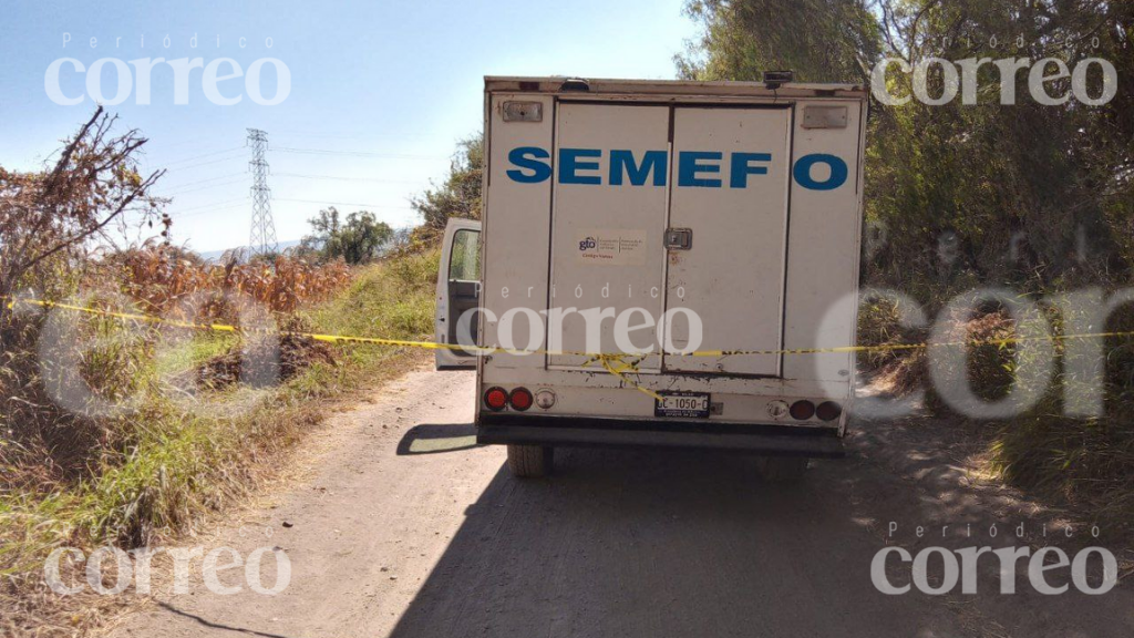 Encuentran cadáver con tiro de gracia en los límites de Celaya y Cortazar