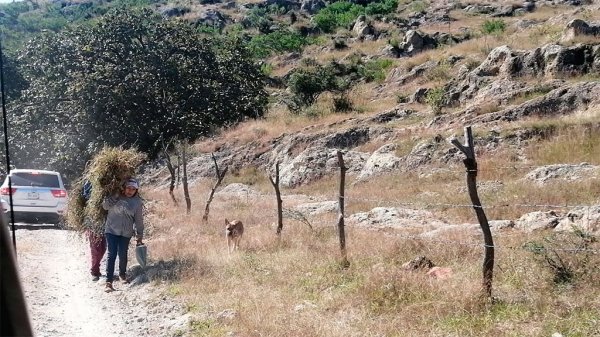 Salamanca: En Media Luna viven aislados y sin señal; único camino está destrozado