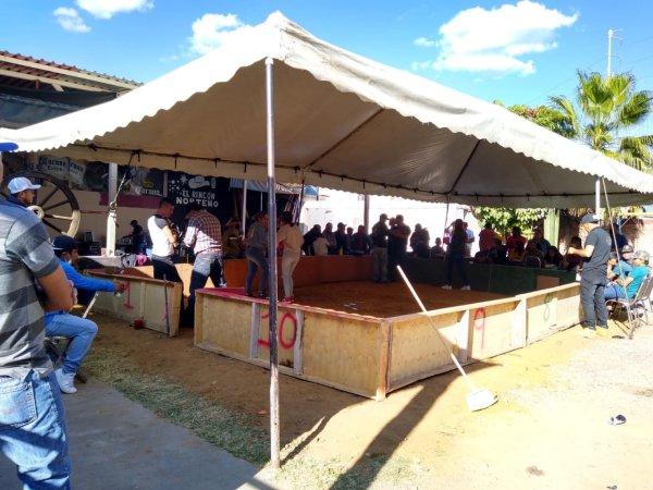 Descubren palenque clandestino en marisquería de Guanajuato capital