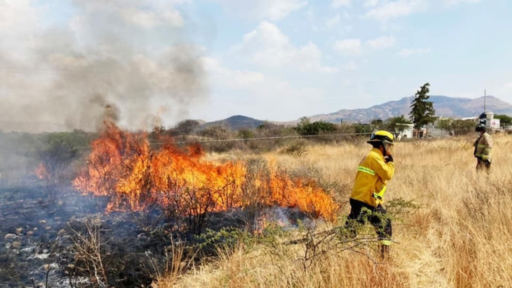 A un mes de terminar el año, Guanajuato ha registrado casi 6 mil incendios en pastizales