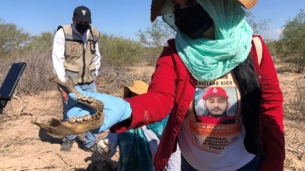 Madres Buscadoras hallan 18 cuerpos en fosas clandestinas en Sonora; siguieron un fétido olor