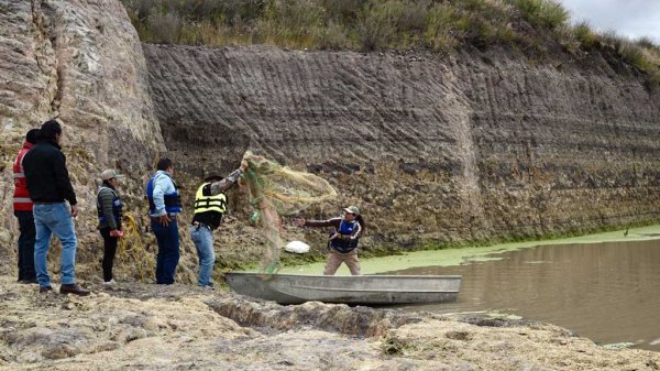 Preparan operativo de rescate para resguardar a cocodrilo en San Miguel de Allende