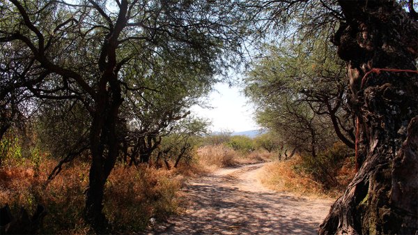 San Agustín de Tordos: retoman proyecto para Área Natural Protegida