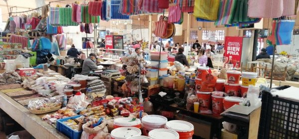 Ventas no repuntan en Mercado de San José Iturbide; bajan hasta al 50%