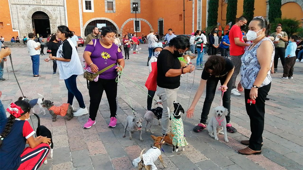 León: Comisión de Patrimonio incluye ayudas sociales a migrantes y mascotas