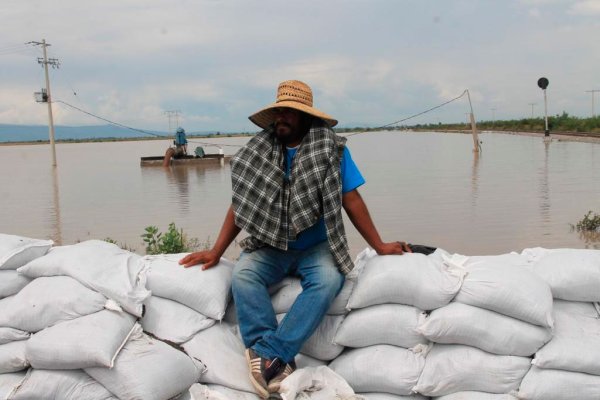 Escépticas están comunidades de Abasolo por promesas tras inundaciones